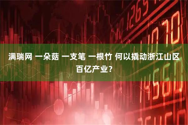 满瑞网 一朵菇 一支笔 一根竹 何以撬动浙江山区百亿产业？
