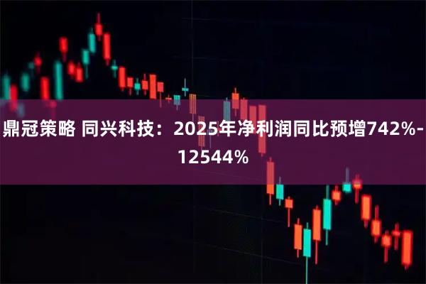 鼎冠策略 同兴科技：2025年净利润同比预增742%-12544%
